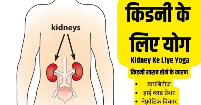 kidney ke liye yoga