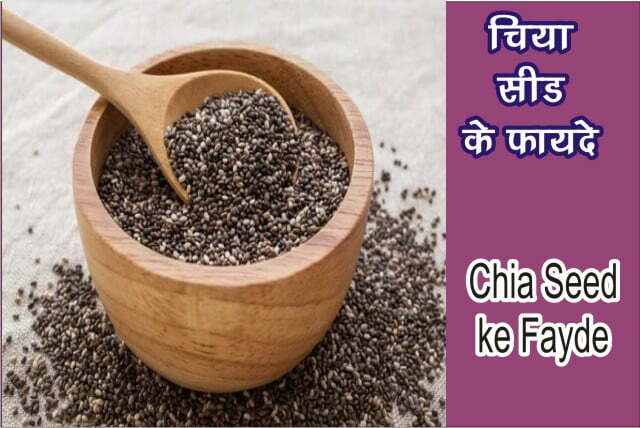 chia seed