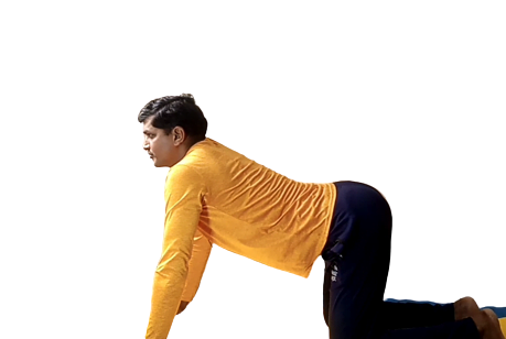 E0 A4 AE E0 A4 BE E0 A4 B0 E0 A5 8D E0 A4 9C E0 A4 B0 E0 A5 80 20 E0 A4 86 E0 A4 B8 E0 A4 A8 20Marjari 20asana 20in 20hindi